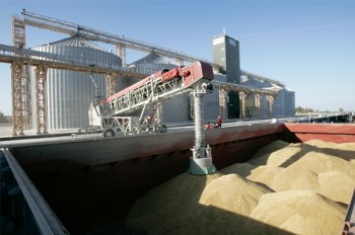 В России задумали ввести компенсации на перевозку зерна в порты по железной дороге