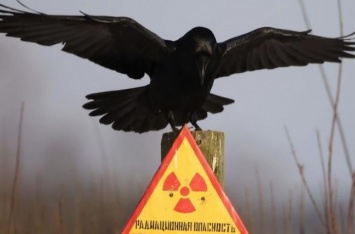 Будут проблемы с сердцем и печенью: в Украине всплеск радиации неизвестного происхождения