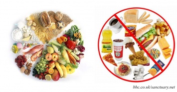 11 полезных и 8 крайне вредных продуктов для вашей щитовидной железы