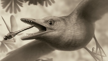 Палеонтологи выяснили, когда первые птицы научились летать