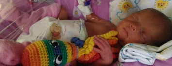 Осьминоги спасают недоношенных малышей в Одессе (ФОТО)