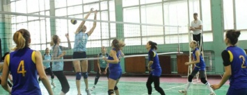 В Каменском завершился волейбольный турнир «Кубок освобождения»