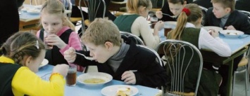 Николаевские родители в открытом доступе смогут посмотреть, чем питаются их дети в школах и садах