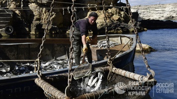 Севастополь будет продавать морепродукты в Турцию, Белоруссию и Казахстан