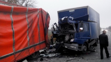 ДТП на Днепропетровщине: пострадавшего пассажира и тело водителя вырезали из кабины фуры