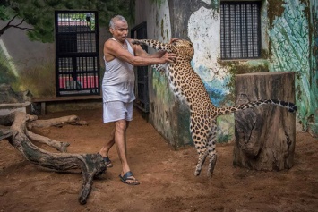 Мужчина дома завел зоопарк с сотней диких животных
