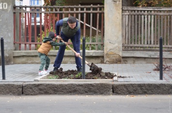 В центре города одесситы высадили парковые породы деревьев (общество)