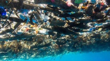 В Карибском море обнаружили плавучий остров из мусора (фото, видео)