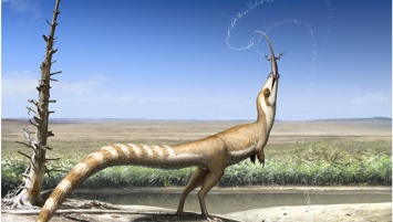 Палеонтологи открыли первого динозавра со "спецназовской" окраской