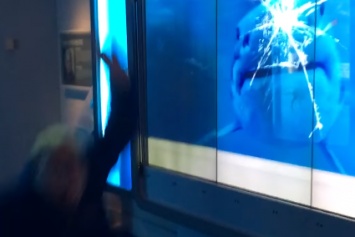 Акула атаковала посетителя музея из "разбитого" аквариума