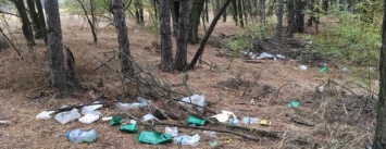 Херсонские военные оставили горы мусоры в Олешковских лесах