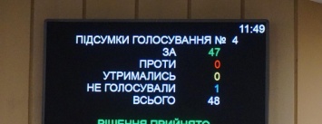 Депутаты горсовета "по-криворожски" поддержали петицию о закупке "кибер-ножа" (ФОТО)