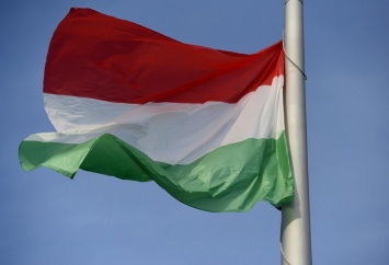 В Берегово хотели сжечь флаг Венгрии: Будапешт просит разобраться