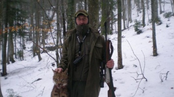 Невероятная жестокость: в Карпатах лесники застрелили краснокнижную рысь (фото)