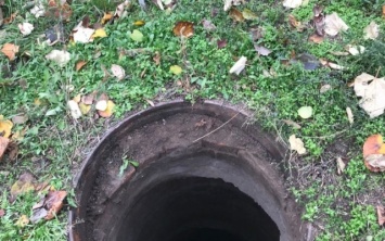 В Запорожье огромный пес провалился в канализацию (ФОТО)