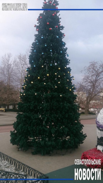 У нас не люди, а дикари: В центре Севастополя с новогодней елки украли половину игрушек (ФОТО)