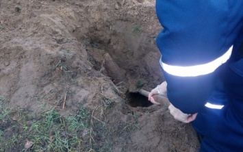 На Херсонщине местные жители нашли артиллерийский снаряд