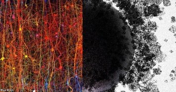 Ученые нашли многомерную Вселенную прямо в человеческом мозге!