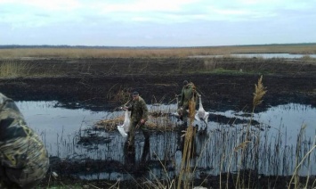 Глава Днепропетровского облсовета Глеб Прыгунов: «Виновники в расстреле белых лебедей должны быть наказаны»