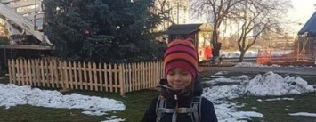 Депутат Киевсовета оградил елку от киевлян