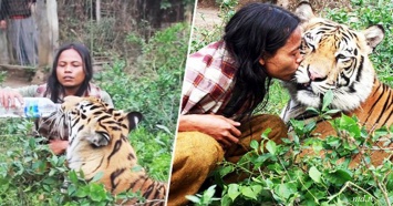 Знакомьтесь: человек и тигр, которые едят, спят и вообще живут вместе
