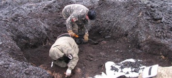 Поисковики АИВИН «Плацдарм» обнаружили останки 25 советских солдат