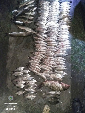 На Каменском водохранилище поймали браконьера с уловом толстолобиков и щук