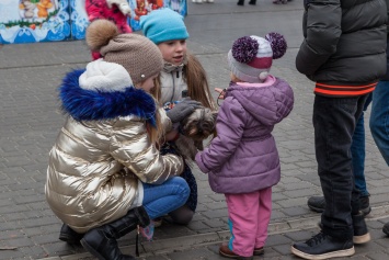 В ожидании Нового года: в Днепре продолжается открытие елок