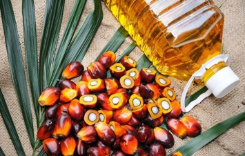 Вредное ли пальмовое масло для здоровья? Вот ответ!