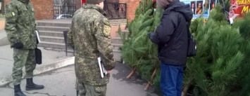 Как в Покровске борются с незаконной продажей елок