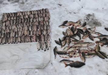 На Самаре задержали рыбаков-браконьеров