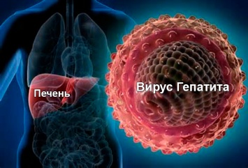 Николаев: 44 человека госпитализированы с гепатитом А, источник инфекции не выявлен