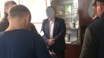 Чиновник РГА Киевской области требовал $100 тысяч взятки - ГПУ