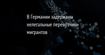 В Германии задержаны нелегальные перевозчики мигрантов