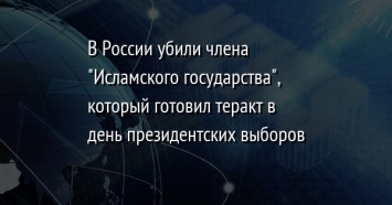 В России убили члена "Исламского государства", который готовил теракт в день президентских выборов