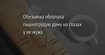 Обезьянка облапала пышногрудую даму на глазах у ее мужа