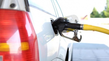 Рост цен на бензин в Украине: появилась реакция правительства