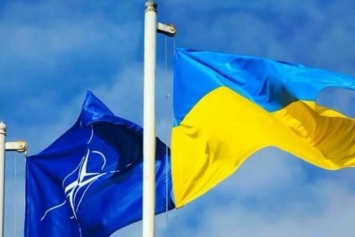 Украине посоветовали не вступать в НАТО