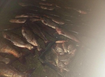 В Новоодесском районе поймали двух браконьеров с большим уловом рыбы