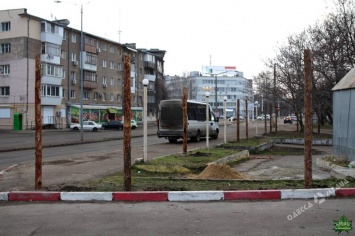 В Одессе захватили зеленую зону неподалеку от ОГА для очередного незаконного строительства (видео)