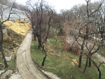 Благоустройство Греческого парка в Одессе продолжается. Фото. Видео