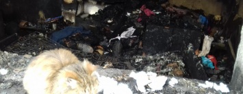 Под Кривым Рогом на пожаре найдено сильно обгоревшее тело женщины (ФОТО)