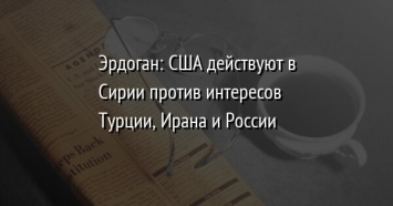 Эрдоган: США действуют в Сирии против интересов Турции, Ирана и России