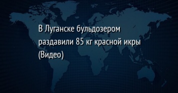 В Луганске бульдозером раздавили 85 кг красной икры (Видео)