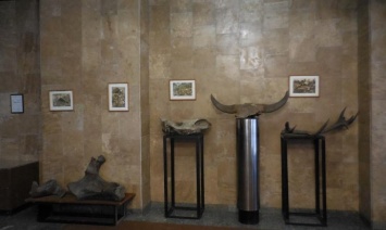 В музее истории Каменского открылась выставка степных реликвий
