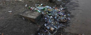 В Киеве пешеходная дорожка заросла мусором (ФОТОФАКТ)