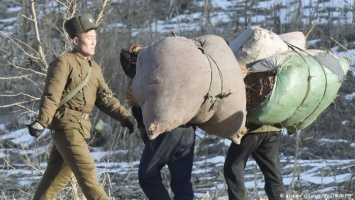 Россия начала высылать трудовых мигрантов из КНДР