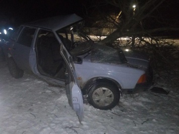 На Николаевщине "Москвич" выехал в кювет и "влетел" в дерево: водителя доставили в больницу