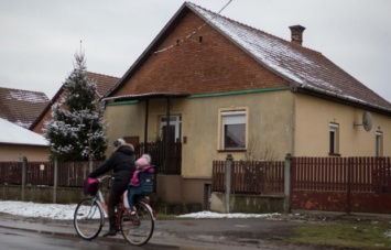 В Венгрии полиция устроила облаву на украинцев с двойным гражданством