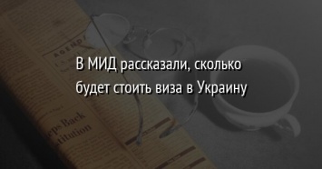 В МИД рассказали, сколько будет стоить виза в Украину